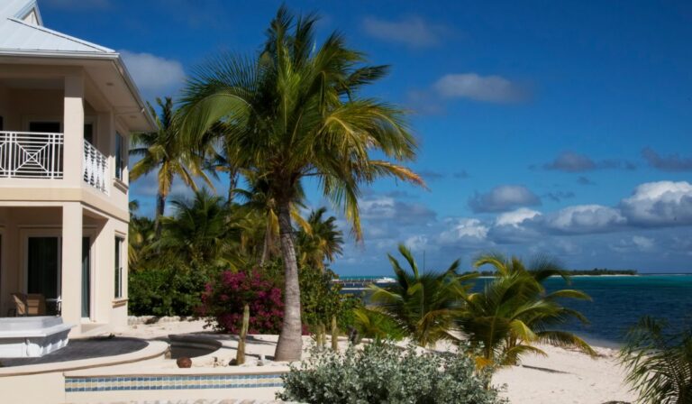 Vacation Rentals in Orlando a cozy beach house with palm trees swaying nearby and a refreshing pool inviting relaxation under the sun