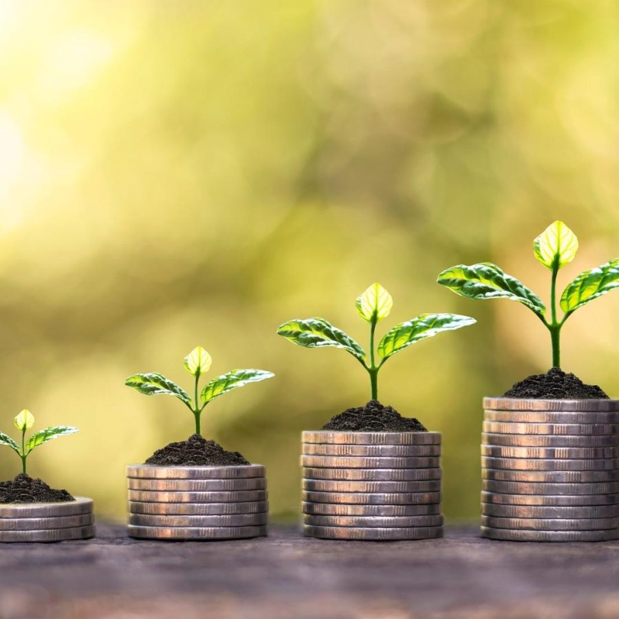 Concepto de crecimiento financiero con plantas brotando de pilas de monedas de plata,