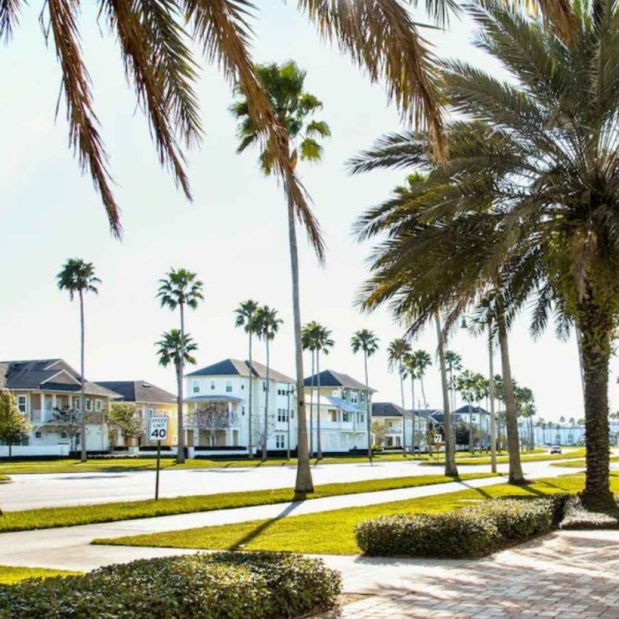 Calle con palmeras y casas.